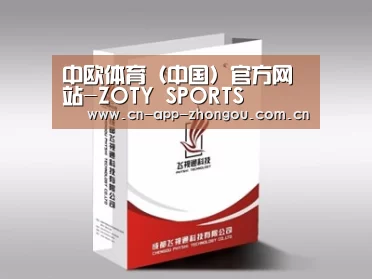 项目名称十三