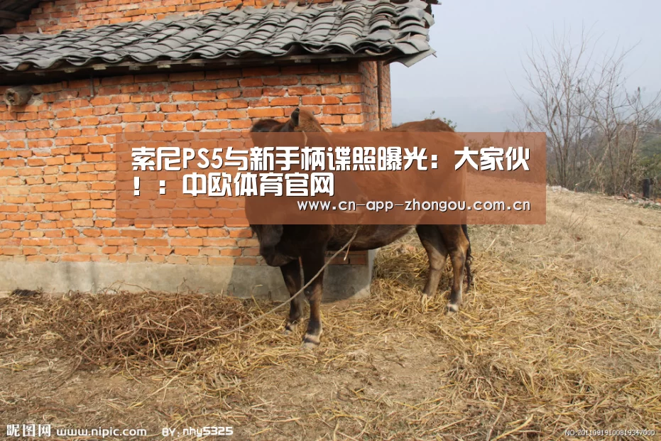 索尼PS5与新手柄谍照曝光:大家伙!:中欧体育官网(图2) zoty体育