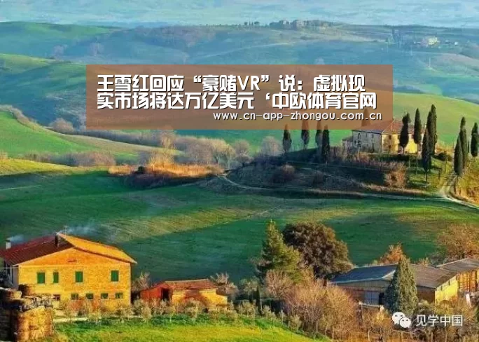 王雪红回应“豪赌VR”说:虚拟现实市场将达万亿美元‘中欧体育官网’(图2) 中欧体育官网