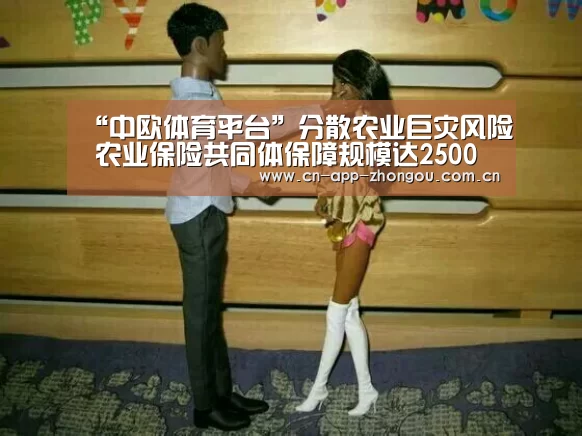 “中欧体育平台”分散农业巨灾风险 农业保险共同体保障规模达2500亿元(图3) zoty体育