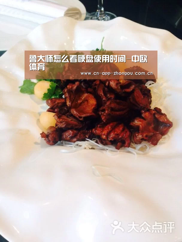 鲁大师怎么看硬盘使用时间-中欧体育(图2) 中欧体育平台