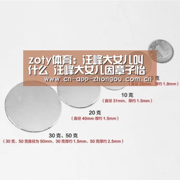 zoty体育:汪峰大女儿叫什么 汪峰大女儿因章子怡生二胎不满是真的吗(图1) 中欧体育平台