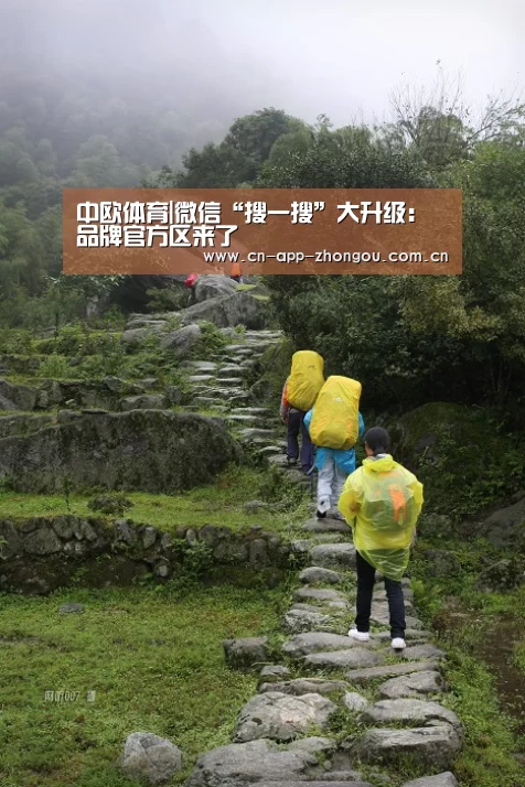 中欧体育
