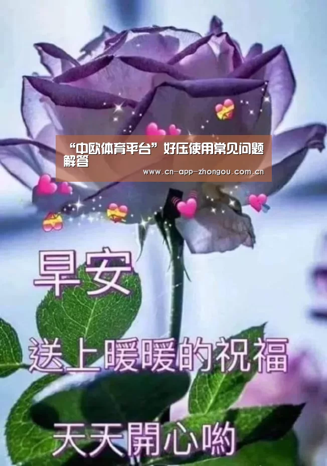 “中欧体育平台”好压使用常见问题解答(图3) 中欧体育平台