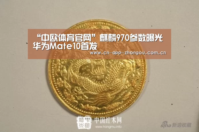 “中欧体育官网”麒麟970参数曝光华为Mate10首发(图2) 中欧体育
