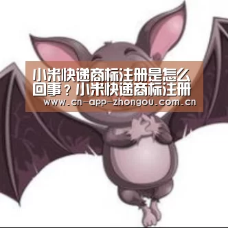 小米快递商标注册是怎么回事?小米快递商标注册一览详情‘中欧体育平台’(图3) 中欧体育平台