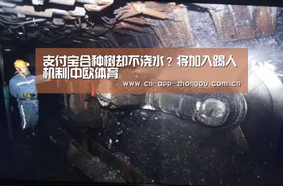中欧体育官网