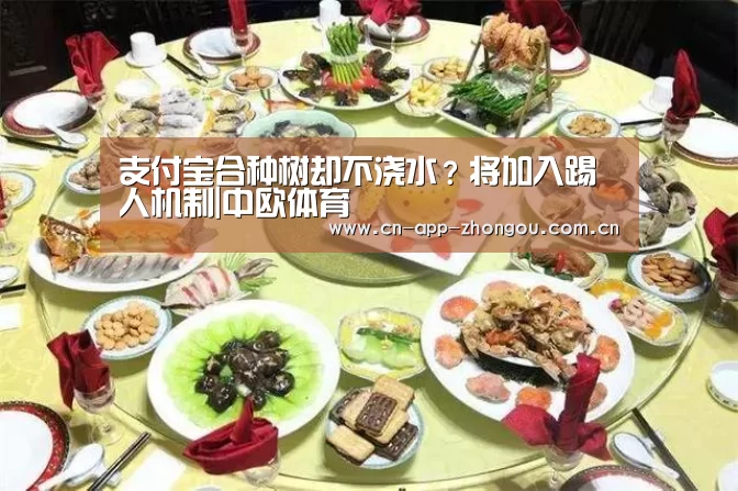 中欧体育