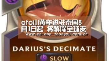 中欧体育平台