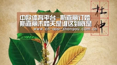 中欧体育平台-斯嘉丽订婚 斯嘉丽未婚夫是谁这到底是个什么梗?(图2) zoty体育