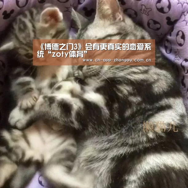 中欧体育官网