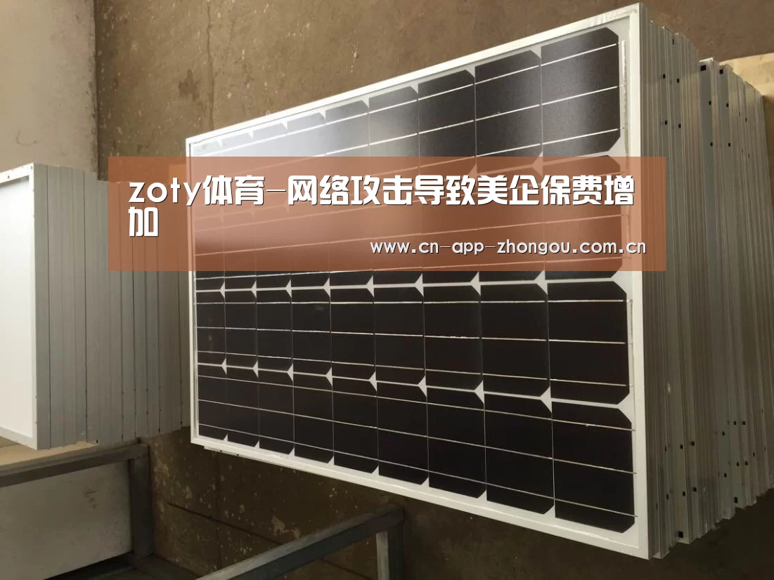 zoty体育-网络攻击导致美企保费增加(图1) 中欧体育平台