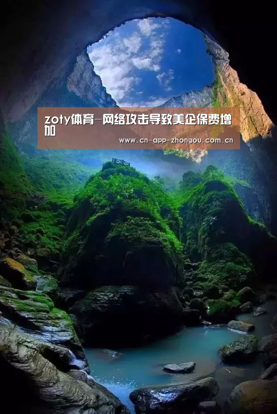 zoty体育-网络攻击导致美企保费增加(图2) 中欧体育平台