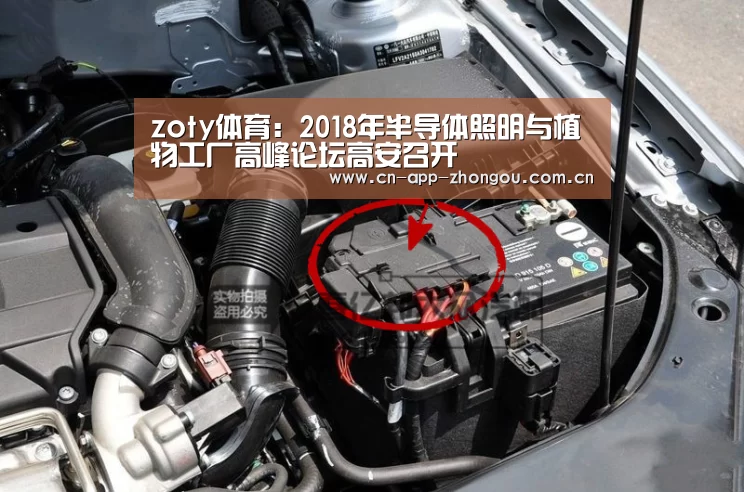 zoty体育:2018年半导体照明与植物工厂高峰论坛高安召开(图1) zoty体育