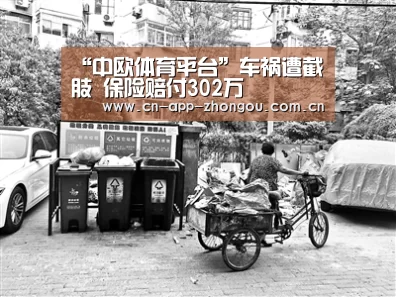 中欧体育官网